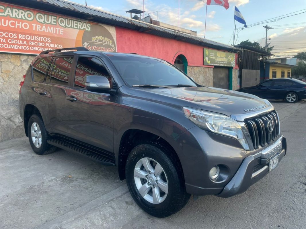 WhatsApp Image 2026-01-26 at 7.27.04 PM (1)