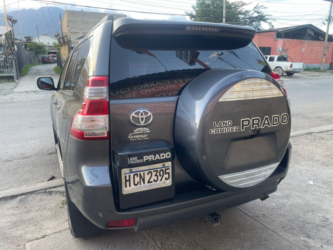 WhatsApp Image 2026-01-26 at 7.27.06 PM