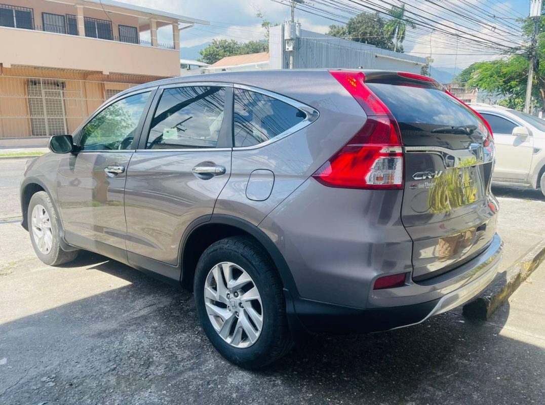 WhatsApp Image 2026-01-26 at 9.47.07 AM