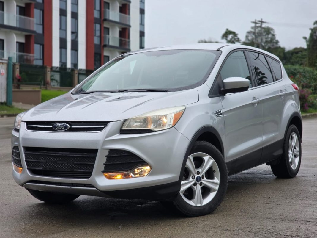 WhatsApp Image 2026-01-27 at 2.03.54 PM (1)