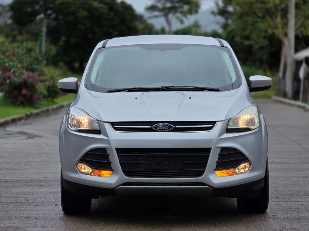 WhatsApp Image 2026-01-27 at 2.03.55 PM (2)