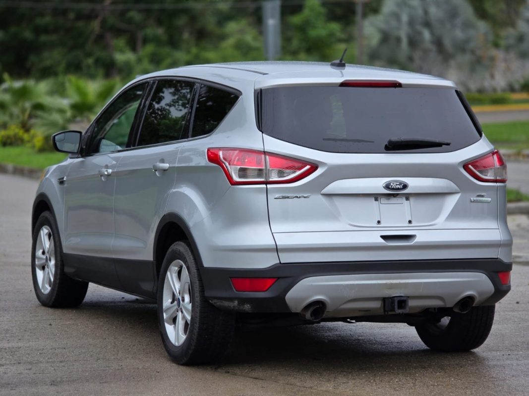 WhatsApp Image 2026-01-27 at 2.03.56 PM (2)