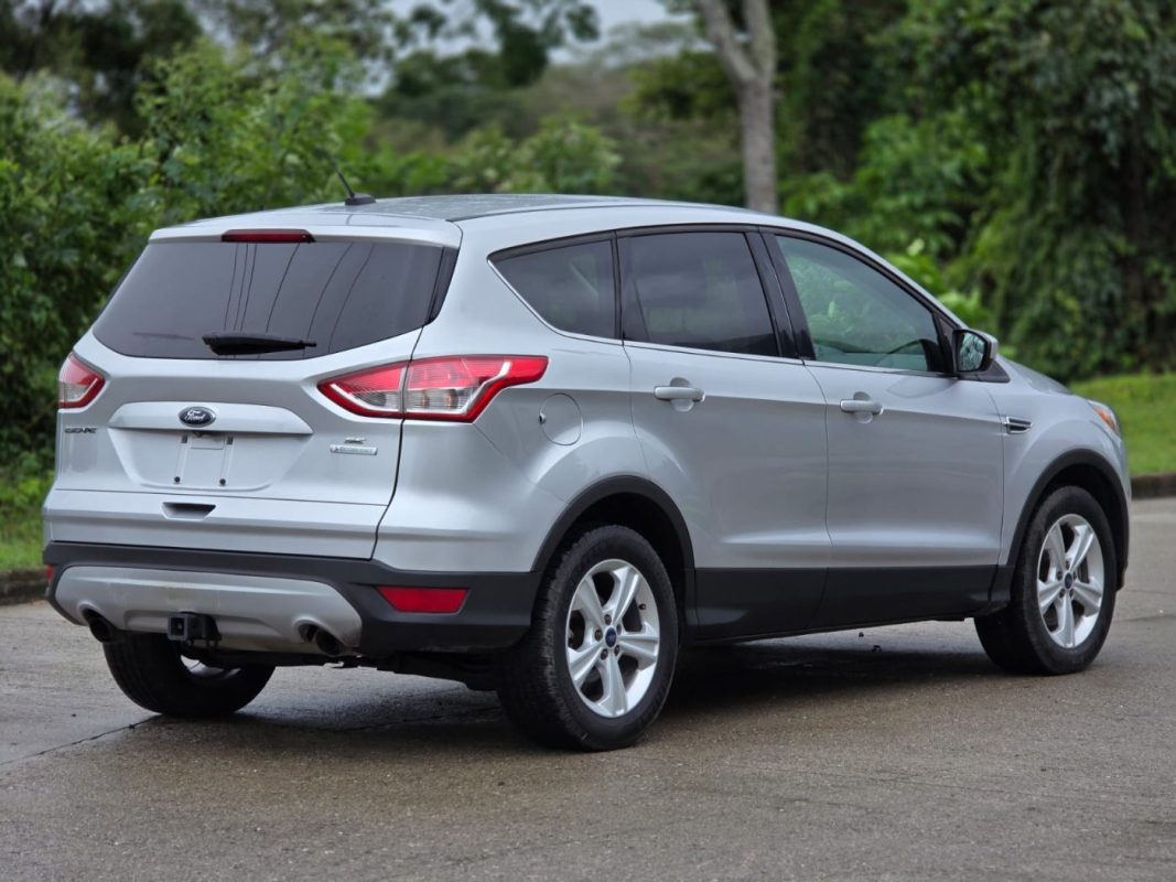 WhatsApp Image 2026-01-27 at 2.03.56 PM