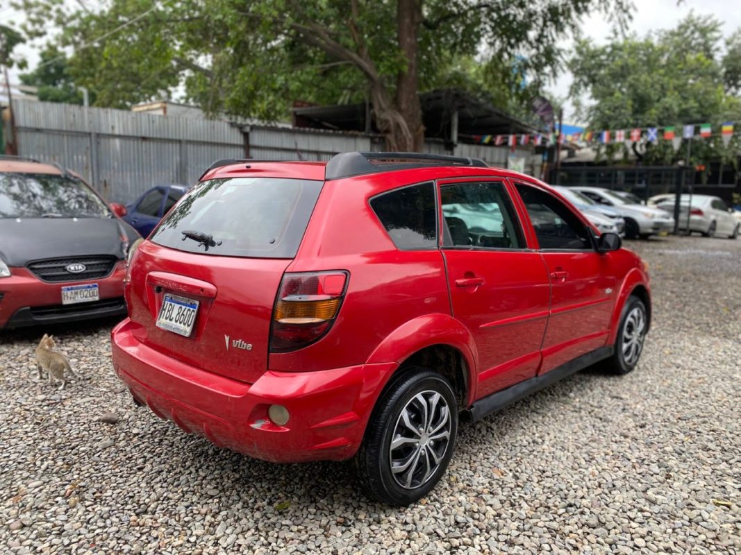 WhatsApp Image 2026-01-28 at 12.29.35 PM (1)