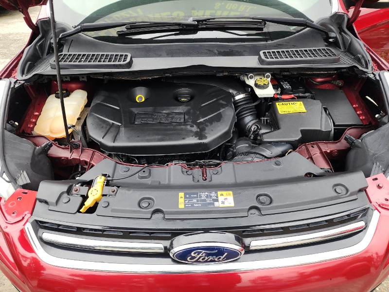 WhatsApp Image 2026-01-28 at 2.26.03 PM (1)