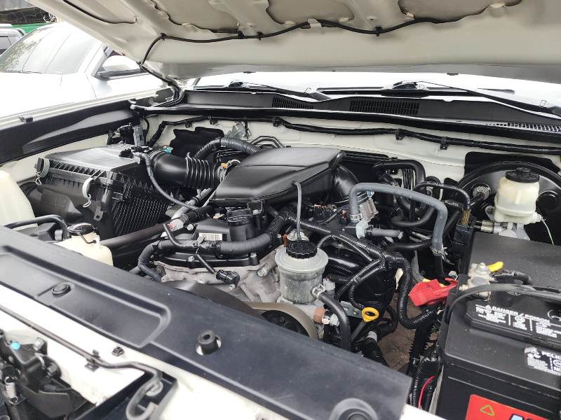 WhatsApp Image 2026-01-28 at 2.26.27 PM