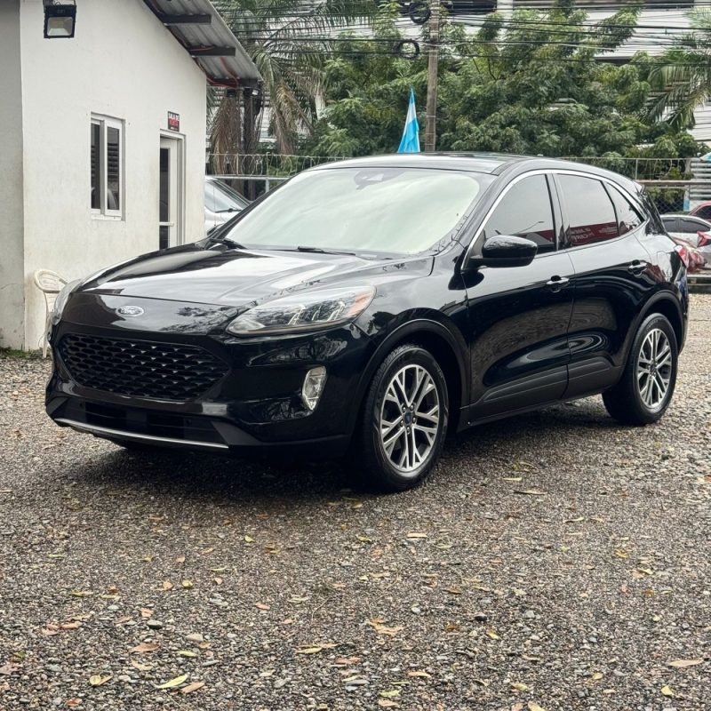 WhatsApp Image 2026-01-28 at 8.08.04 AM