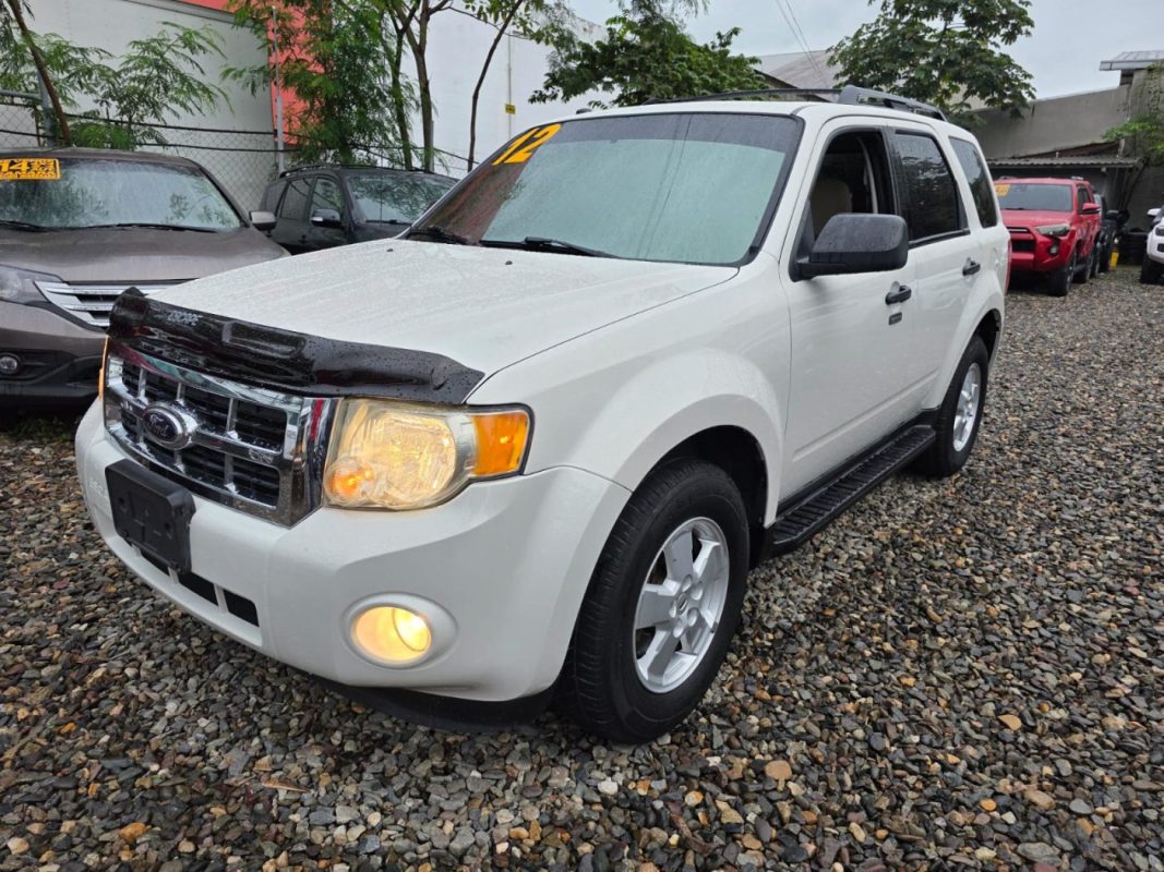 WhatsApp Image 2026-01-29 at 11.51.38 AM