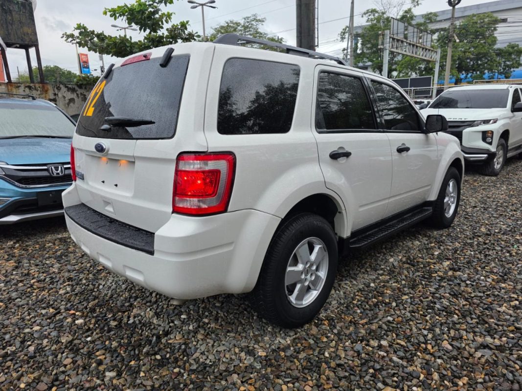 WhatsApp Image 2026-01-29 at 11.51.39 AM (3)