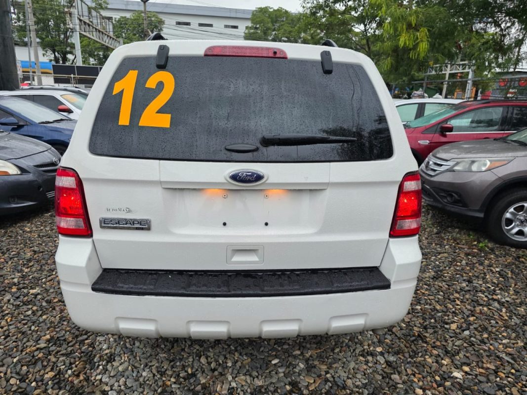 WhatsApp Image 2026-01-29 at 11.51.39 AM (4)