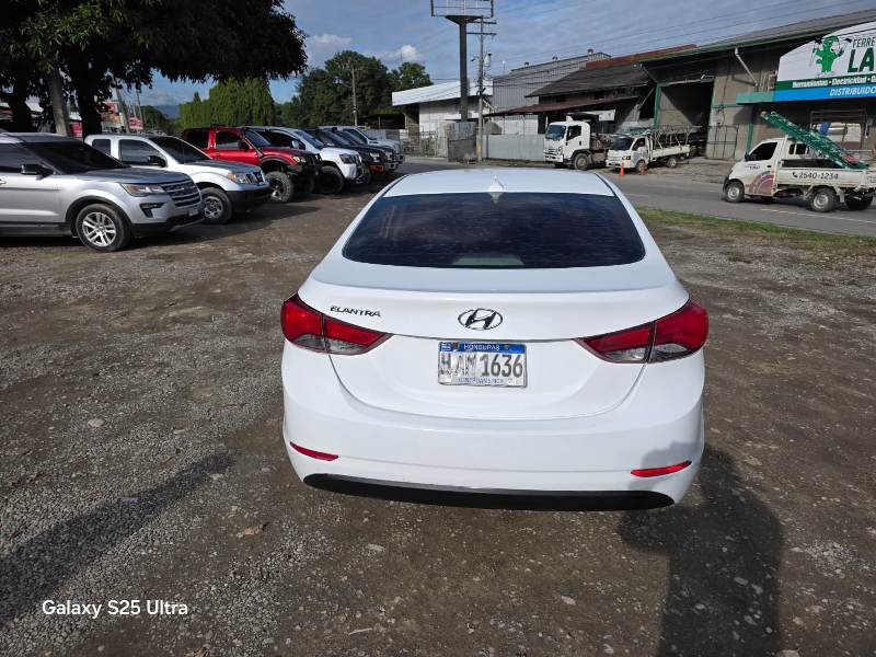 WhatsApp Image 2026-01-29 at 4.36.50 PM (2)