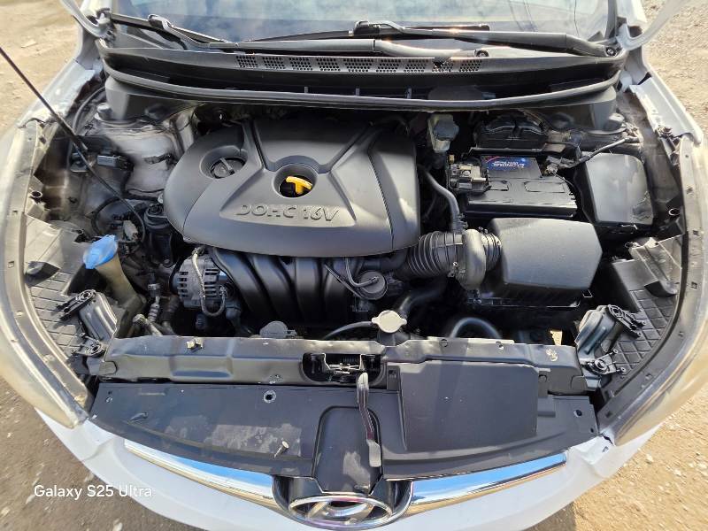 WhatsApp Image 2026-01-29 at 4.36.53 PM (3)