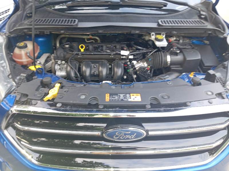 WhatsApp Image 2026-01-29 at 5.03.48 PM