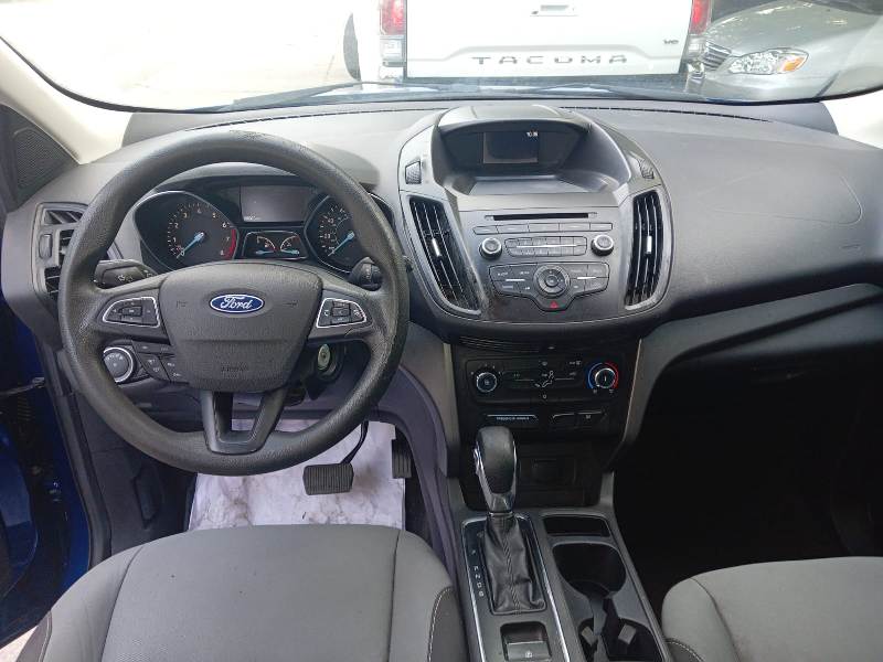 WhatsApp Image 2026-01-29 at 5.05.22 PM