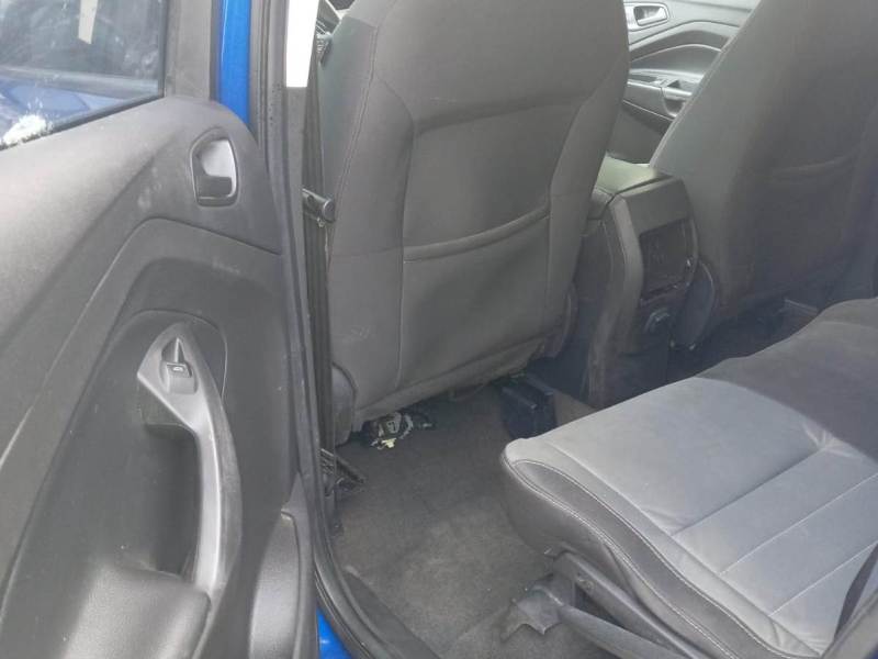 WhatsApp Image 2026-01-29 at 5.05.23 PM (1)