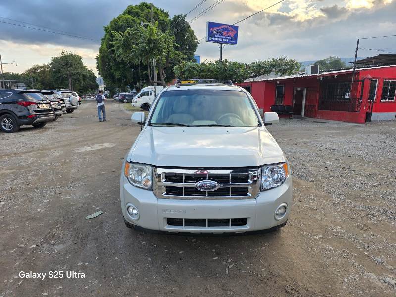 WhatsApp Image 2026-01-29 at 5.15.49 PM (1)