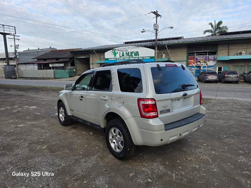 WhatsApp Image 2026-01-29 at 5.15.49 PM (2)