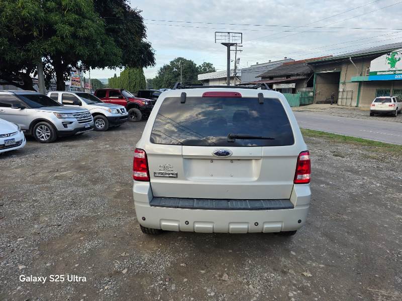 WhatsApp Image 2026-01-29 at 5.15.49 PM (3)