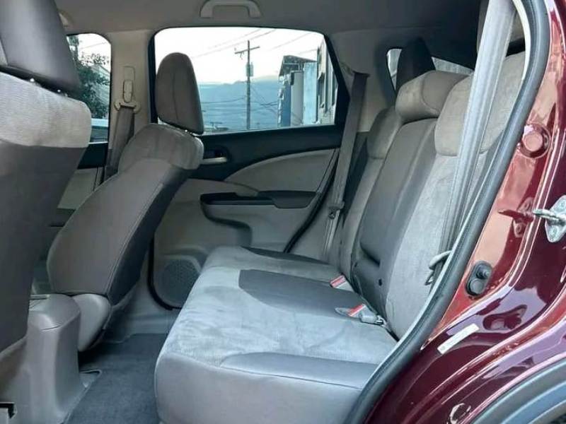 WhatsApp Image 2026-01-29 at 7.25.07 PM