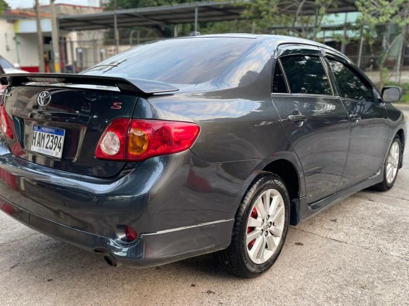 WhatsApp Image 2026-01-29 at 7.32.45 PM (2)