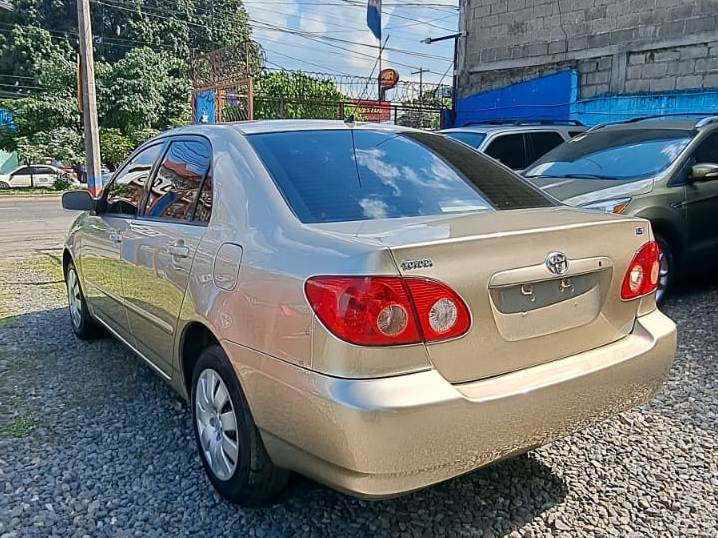 WhatsApp Image 2026-01-29 at 8.24.16 AM