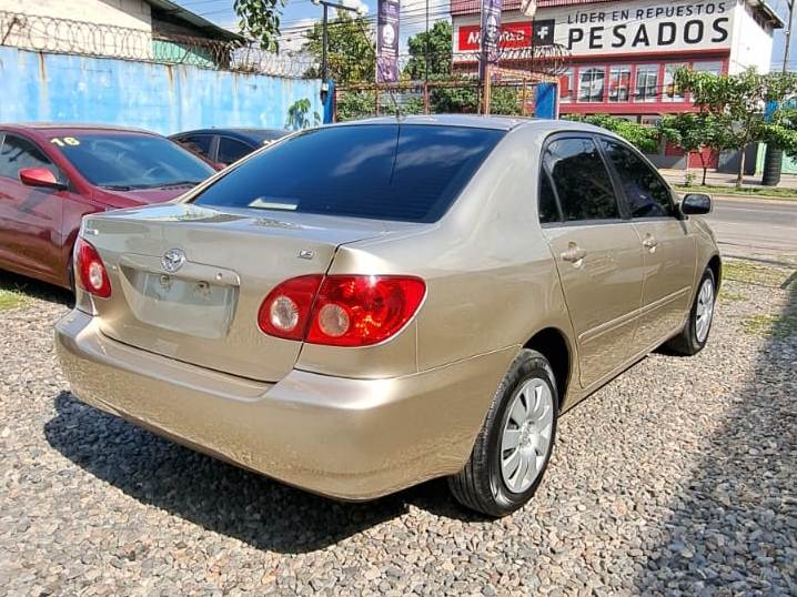 WhatsApp Image 2026-01-29 at 8.24.17 AM