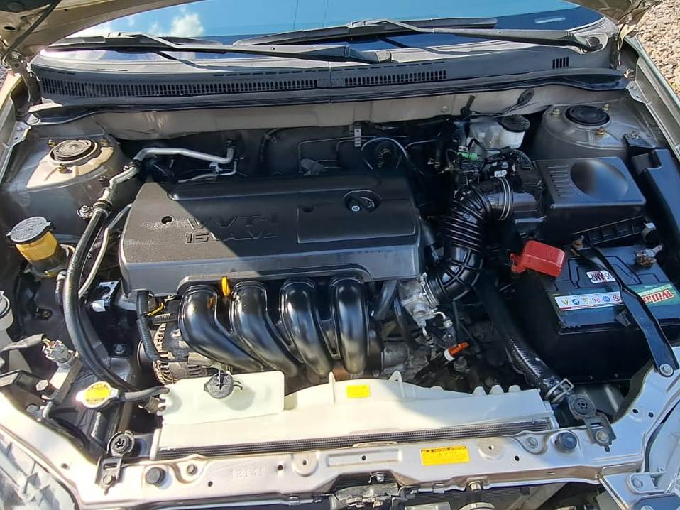 WhatsApp Image 2026-01-29 at 8.24.18 AM (2)