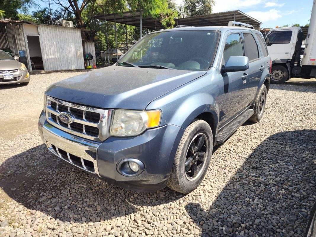 WhatsApp Image 2026-01-30 at 11.35.07 AM (2)