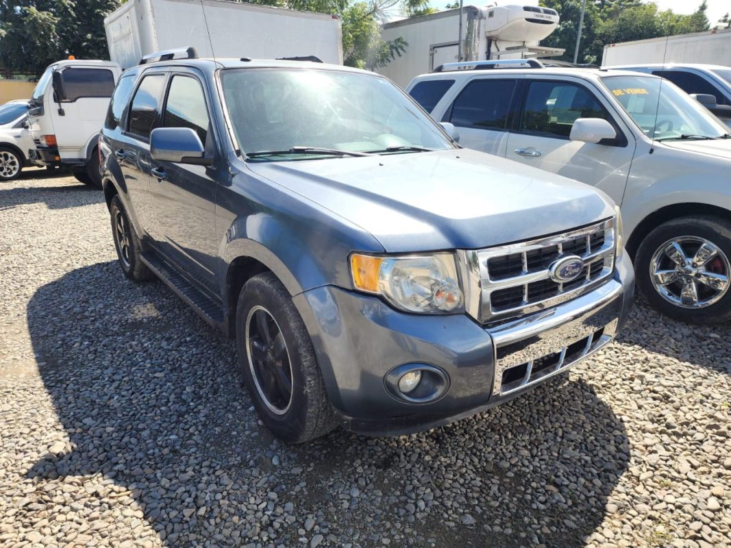 WhatsApp Image 2026-01-30 at 11.35.08 AM