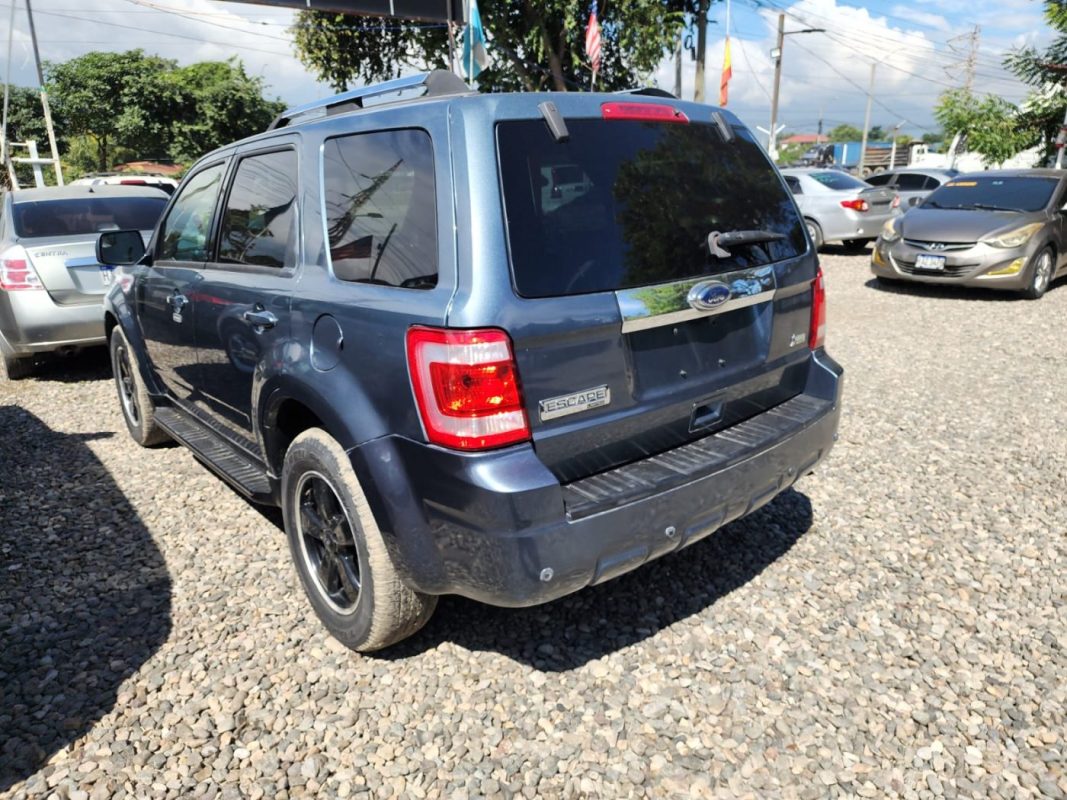 WhatsApp Image 2026-01-30 at 11.35.09 AM (1)