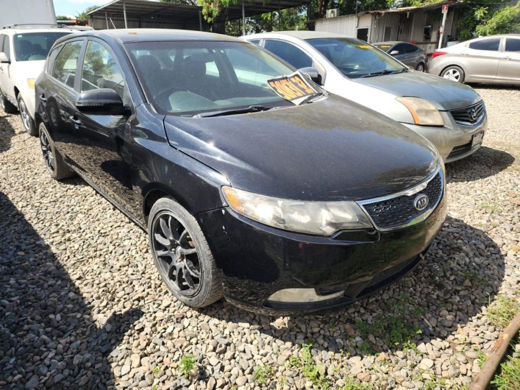 WhatsApp Image 2026-01-30 at 11.35.10 AM (4)