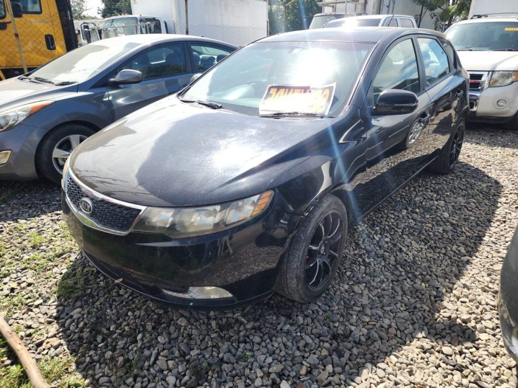 WhatsApp Image 2026-01-30 at 11.35.10 AM (5)