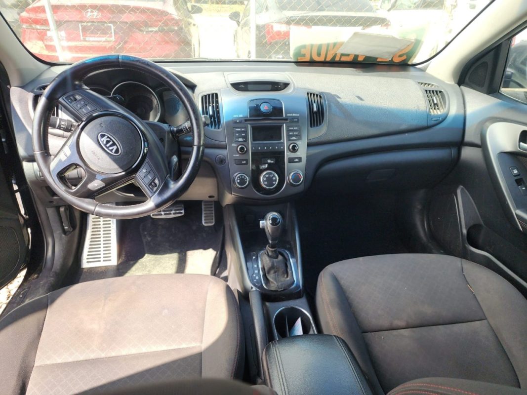 WhatsApp Image 2026-01-30 at 11.35.11 AM (1)