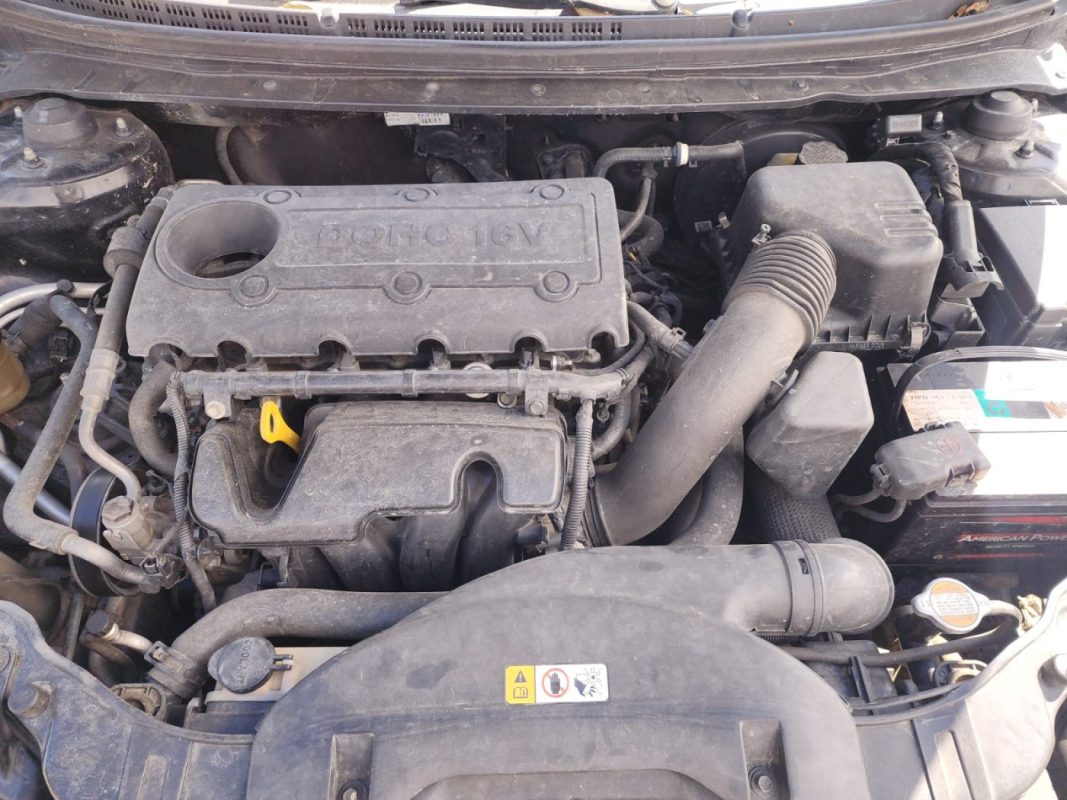 WhatsApp Image 2026-01-30 at 11.35.11 AM