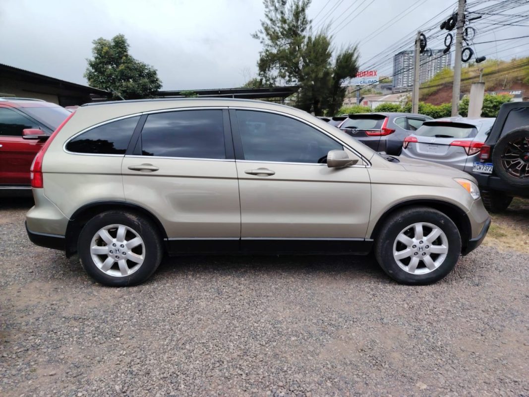 a7519b99-c5c4-4d92-bd16-e3c37bcb3459