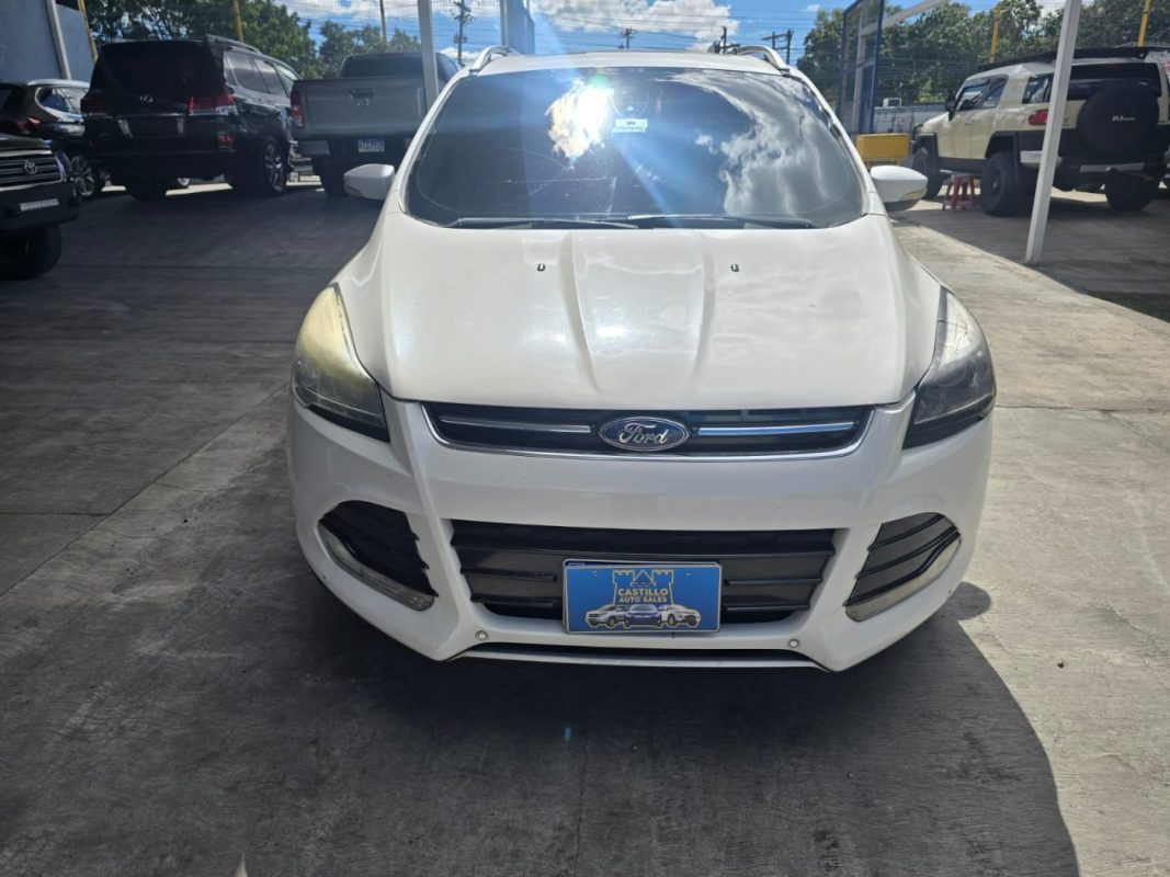 b9d96b29-1aff-4f1e-8d8a-6bc4161fc66e