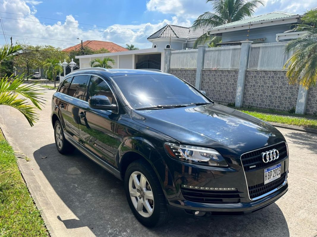 bbae50c8-ec8f-40a1-9f03-9277296677ee