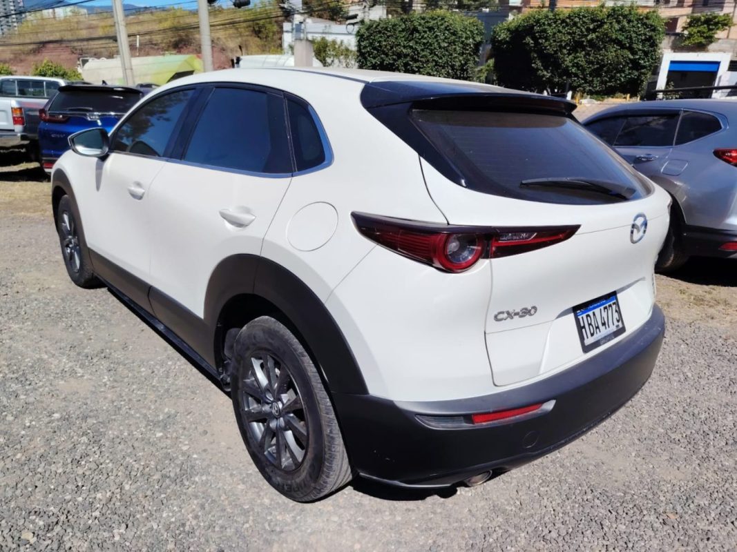 00f131b8-3ded-4976-91f4-ebb41de758d1