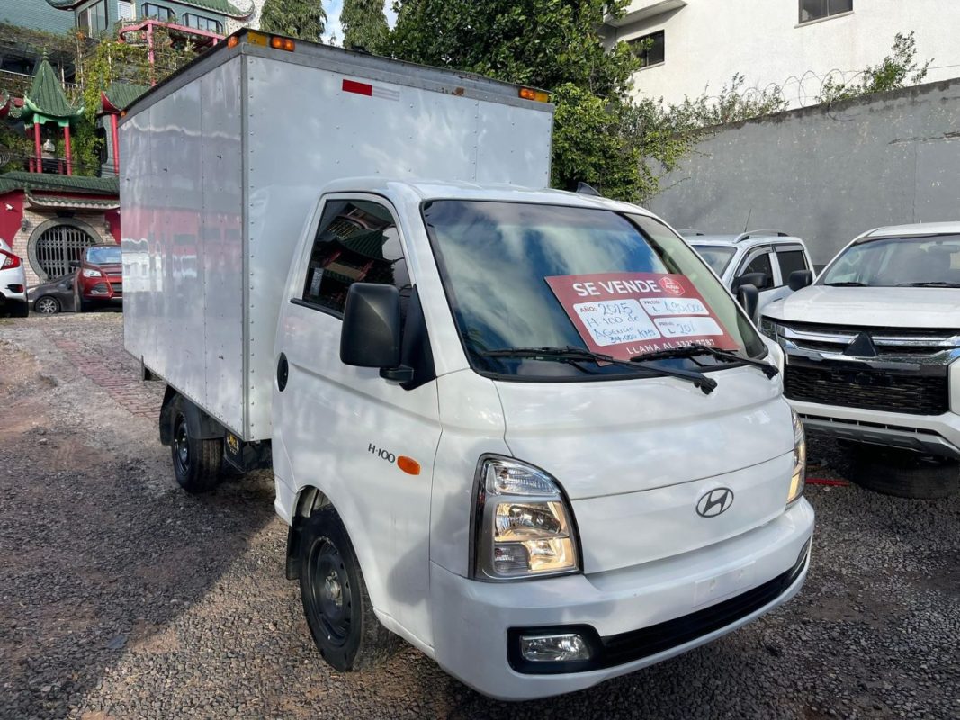 63e5c2d2-552a-4702-aec7-1d466a19812b