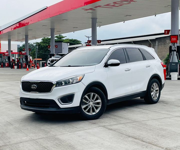 WhatsApp Image 2026-01-17 at 9.58.53 PM