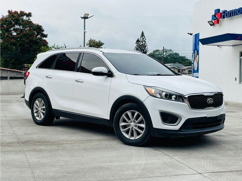 WhatsApp Image 2026-01-17 at 9.58.54 PM (1)