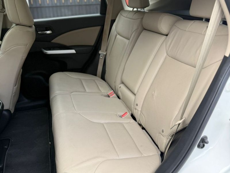 WhatsApp Image 2026-01-20 at 4.26.04 PM (3)