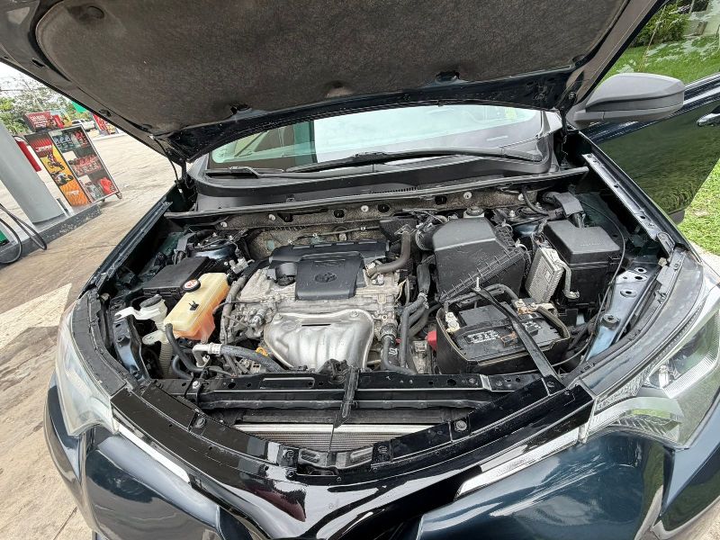 WhatsApp Image 2026-01-21 at 12.25.59 PM (1)