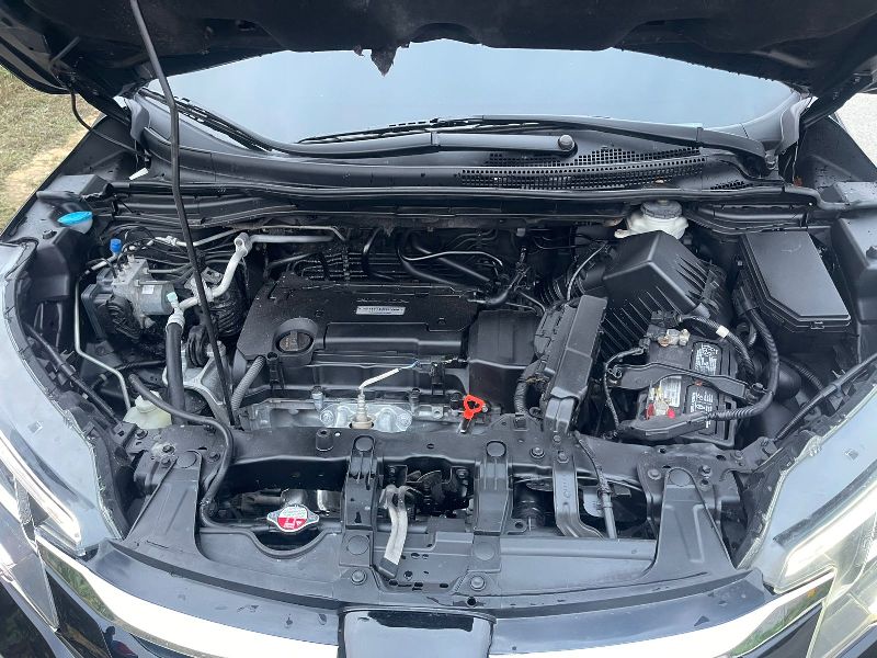 WhatsApp Image 2026-01-21 at 5.56.34 PM (6)