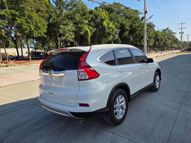 WhatsApp Image 2026-01-24 at 4.33.12 PM