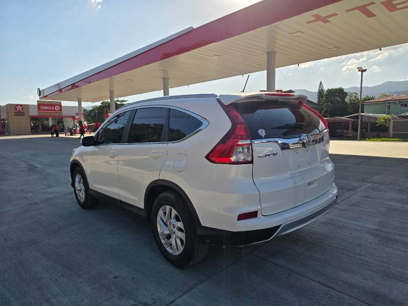 WhatsApp Image 2026-01-24 at 4.33.13 PM (1)