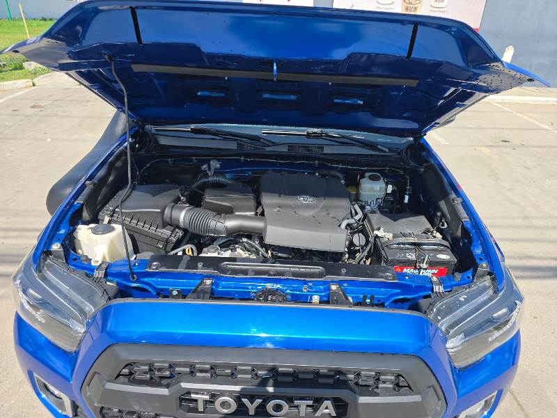 WhatsApp Image 2026-01-24 at 9.31.44 AM (5)