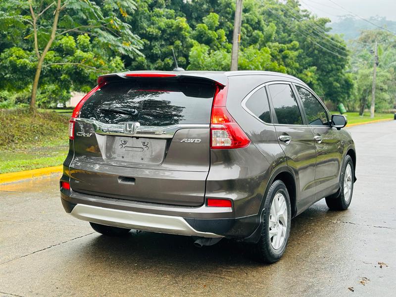 WhatsApp Image 2026-01-28 at 5.52.03 PM