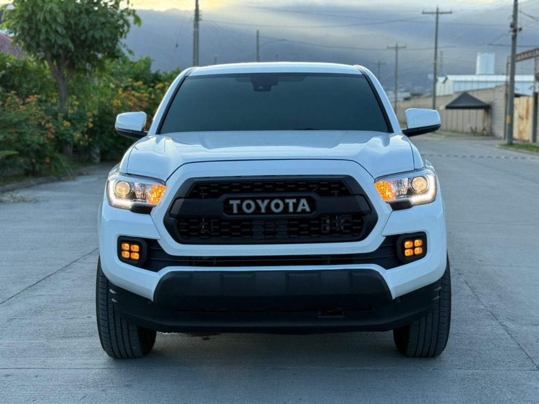 WhatsApp Image 2026-01-29 at 2.04.10 AM