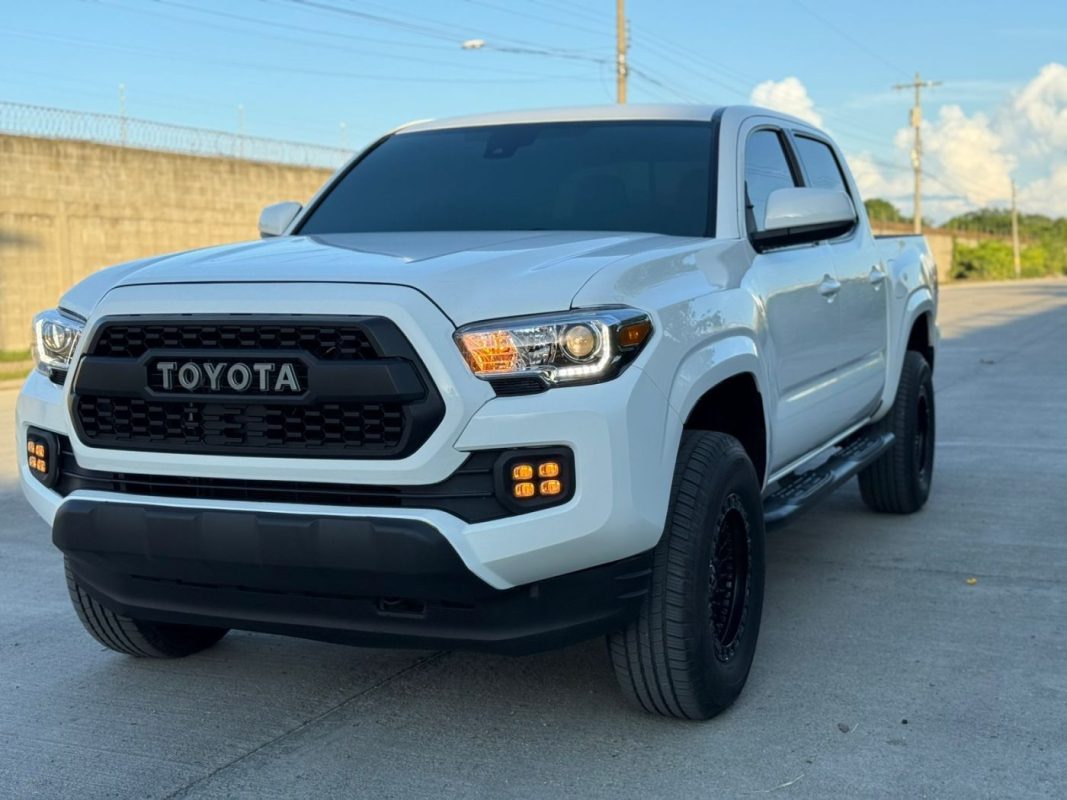 WhatsApp Image 2026-01-29 at 2.04.11 AM (1)